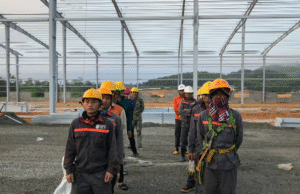 Cách nhận biết chứng chỉ an toàn lao động hợp pháp