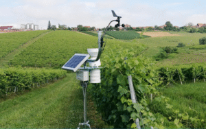 Công ty TNHH Minh Thành Group (MTG)