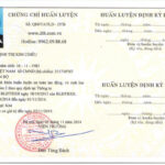 Phân Biệt Chứng Chỉ và Thẻ An Toàn Lao Động