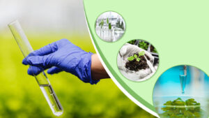 Doanh nghiệp dùng dịch vụ quan trắc để đảm bảo an toàn và tuân thủ pháp luật môi trường.