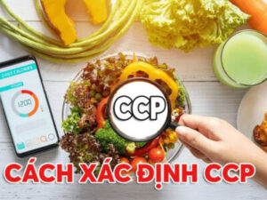 Xác định CCP dựa trên mối nguy và biện pháp kiểm soát hiệu quả.