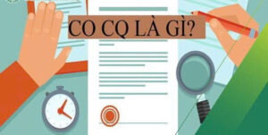 CO CQ là gì?
