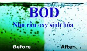 Ý nghĩa của chỉ số BOD