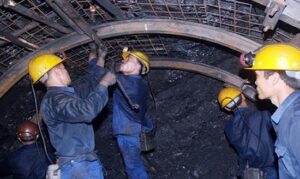 người lao động làm việc trong môi trường độc hại