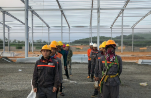 Tiêu chuẩn an toàn lao động là gì?