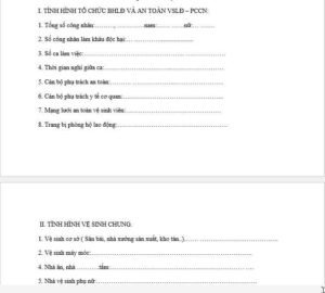 biên bản kiểm tra an toàn vệ sinh lao động