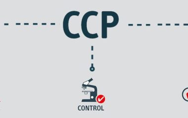 CCP là gì? Cách xác định và vai trò của CCP trong hệ thống HACCP