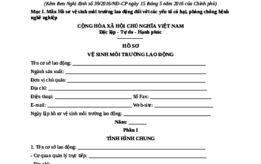 Hồ Sơ Vệ Sinh Môi Trường Lao Động