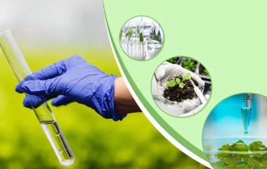 vi-sao-doanh-nghiep-nen-su-dung-dich-vu-cua-cong-ty-quan-trac-moi-truong